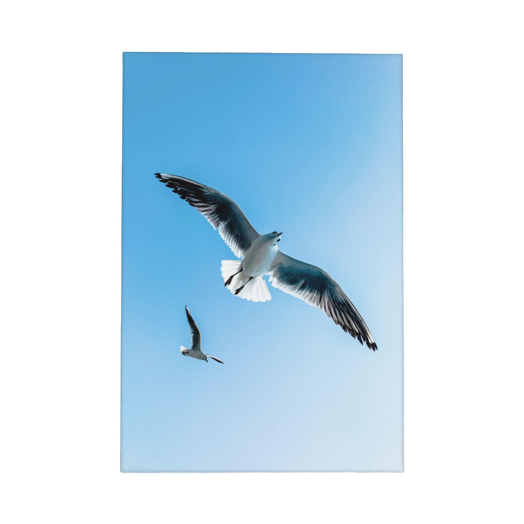 Home Decor Mirror - Seagull Canvas Framed Wall Art Coastal