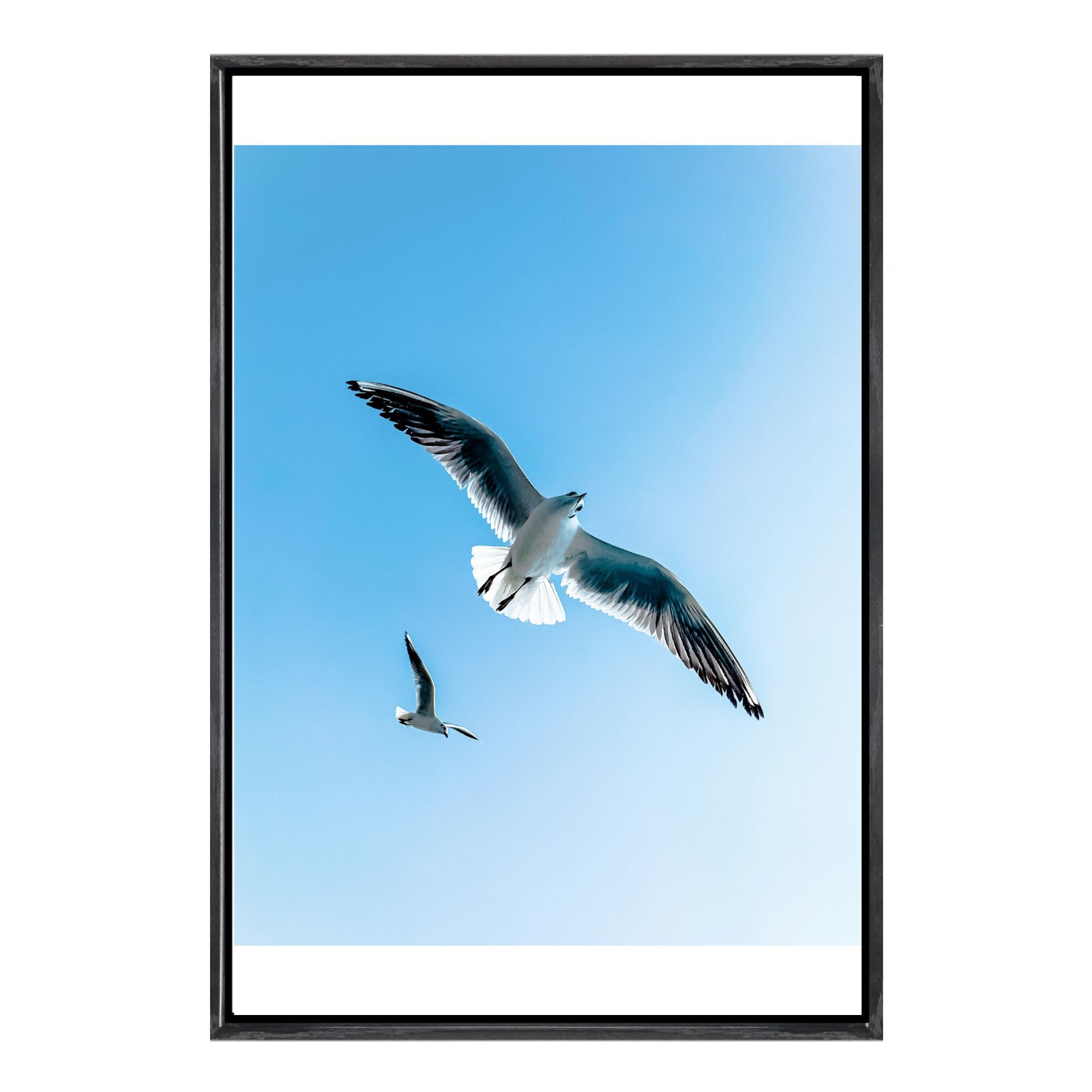 Seagull Canvas Framed Wall Art - Home Decor Mirror บทวิจารณ์และราคา
