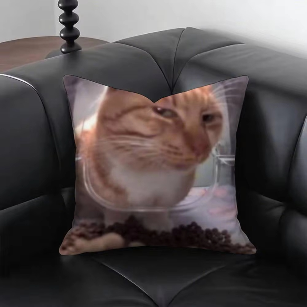 Funny Cat M-Meme Pillow Cover  - Home Decor Emoji บทวิจารณ์และราคา