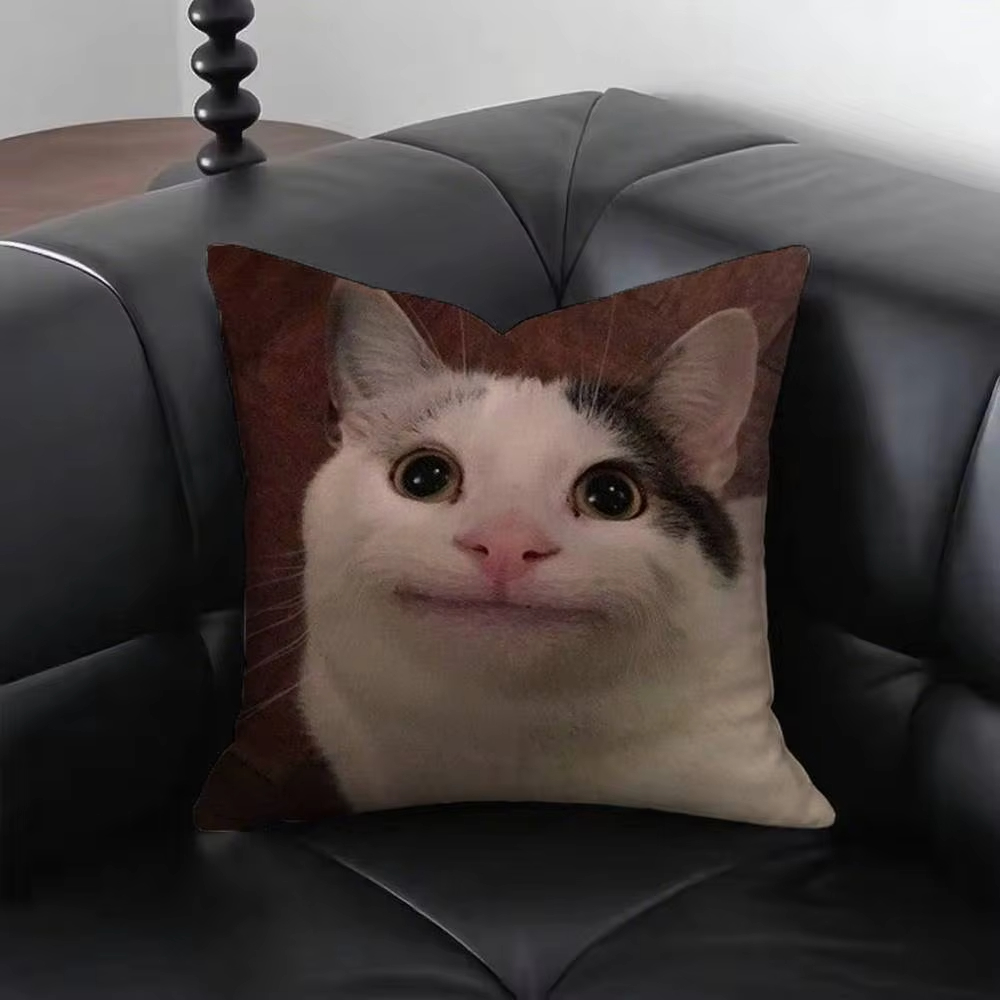 Funny Cat M-Meme Pillow Cover  - Home Decor Emoji บทวิจารณ์และราคา