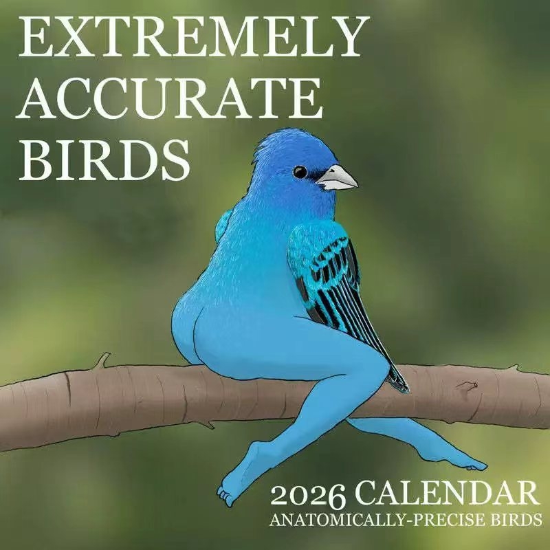 CALENDAR OF EXTREMELY ACCURATE - Home Decor Xmas Gifts บทวิจารณ์และราคา