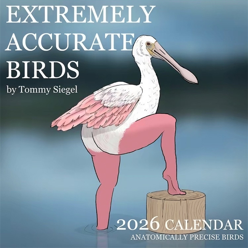 CALENDAR OF EXTREMELY ACCURATE - Home Decor Xmas Gifts บทวิจารณ์และราคา