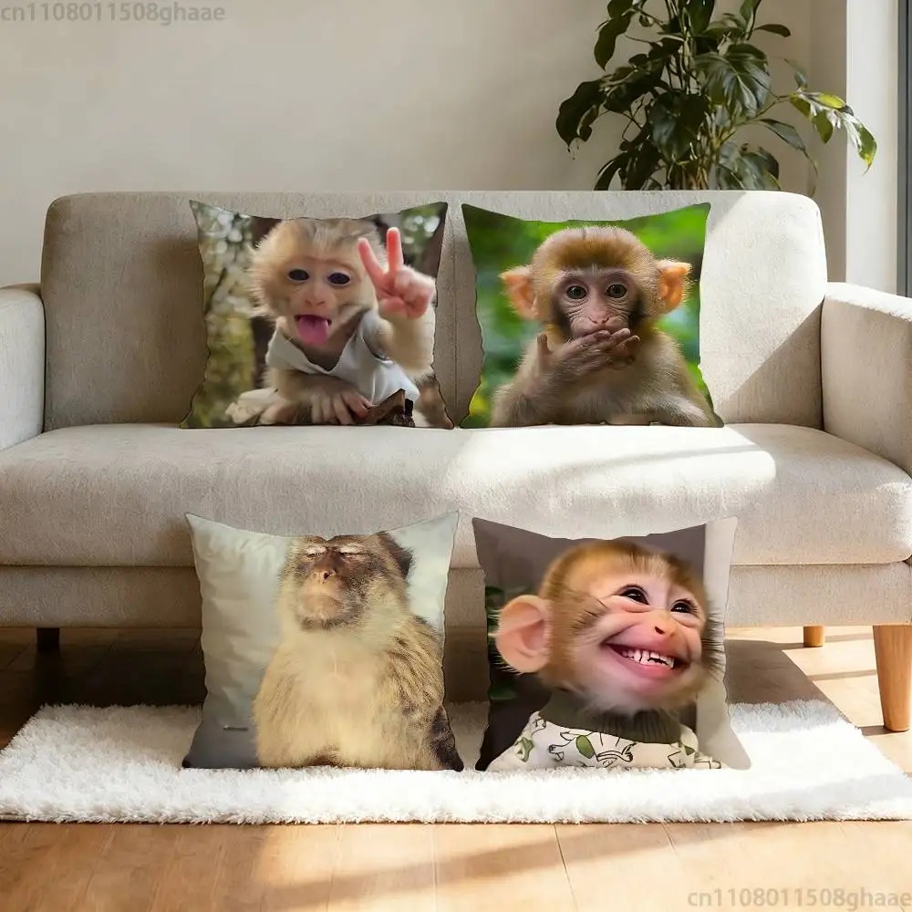 Funny Meme Monkey Cushion Cove - Home Decor Emoji บทวิจารณ์และราคา