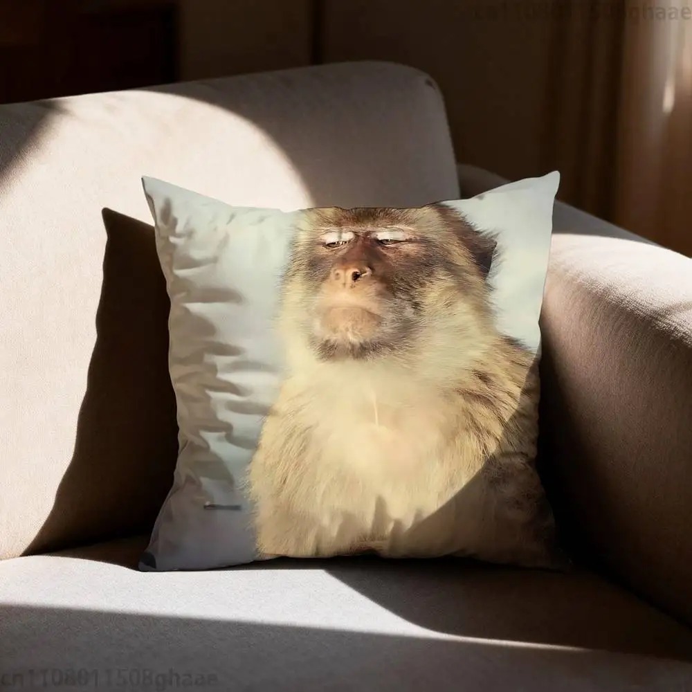 Funny Meme Monkey Cushion Cove - Home Decor Emoji บทวิจารณ์และราคา