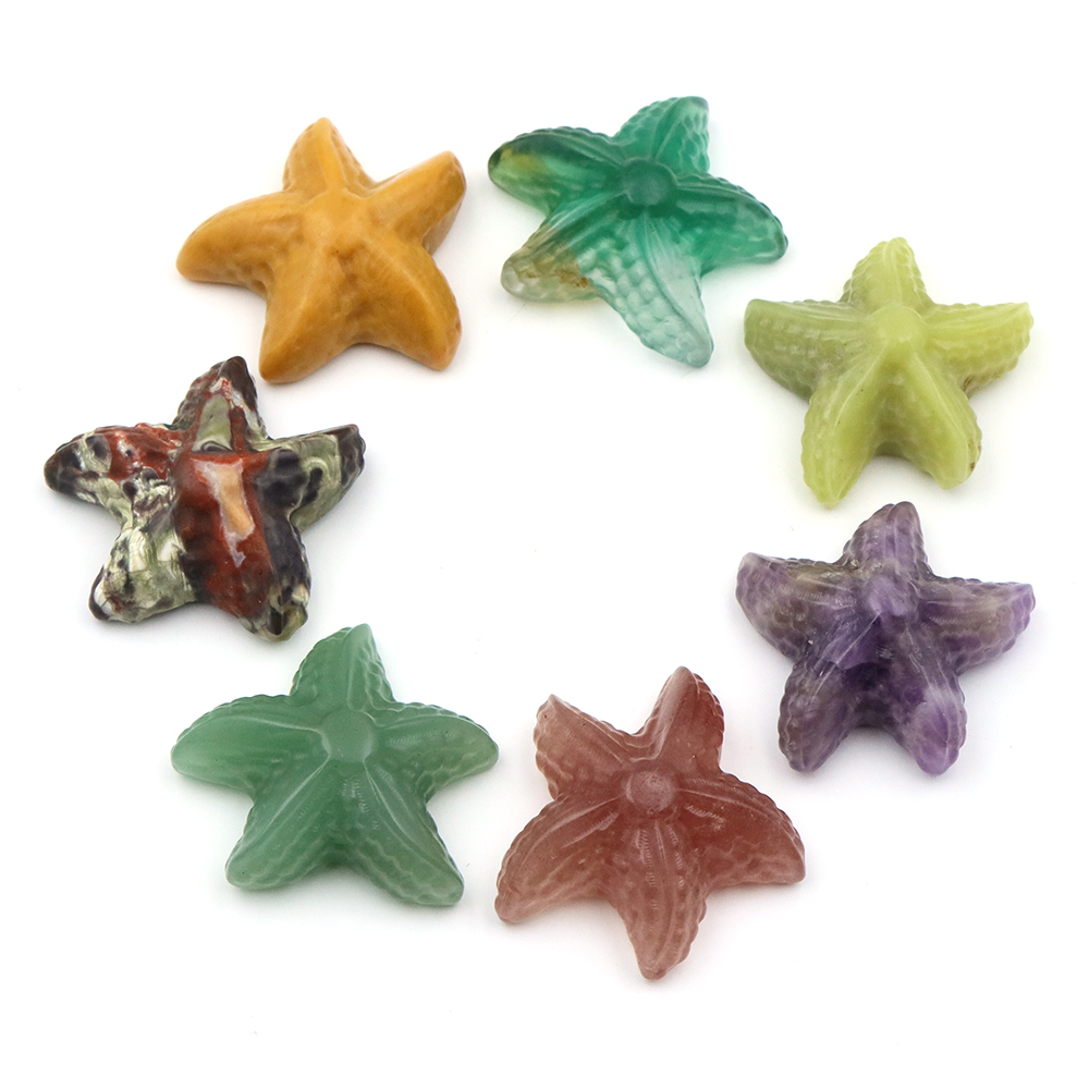 35mm Starfish Shape Statue Mar - Home Decor Quirky บทวิจารณ์และราคา