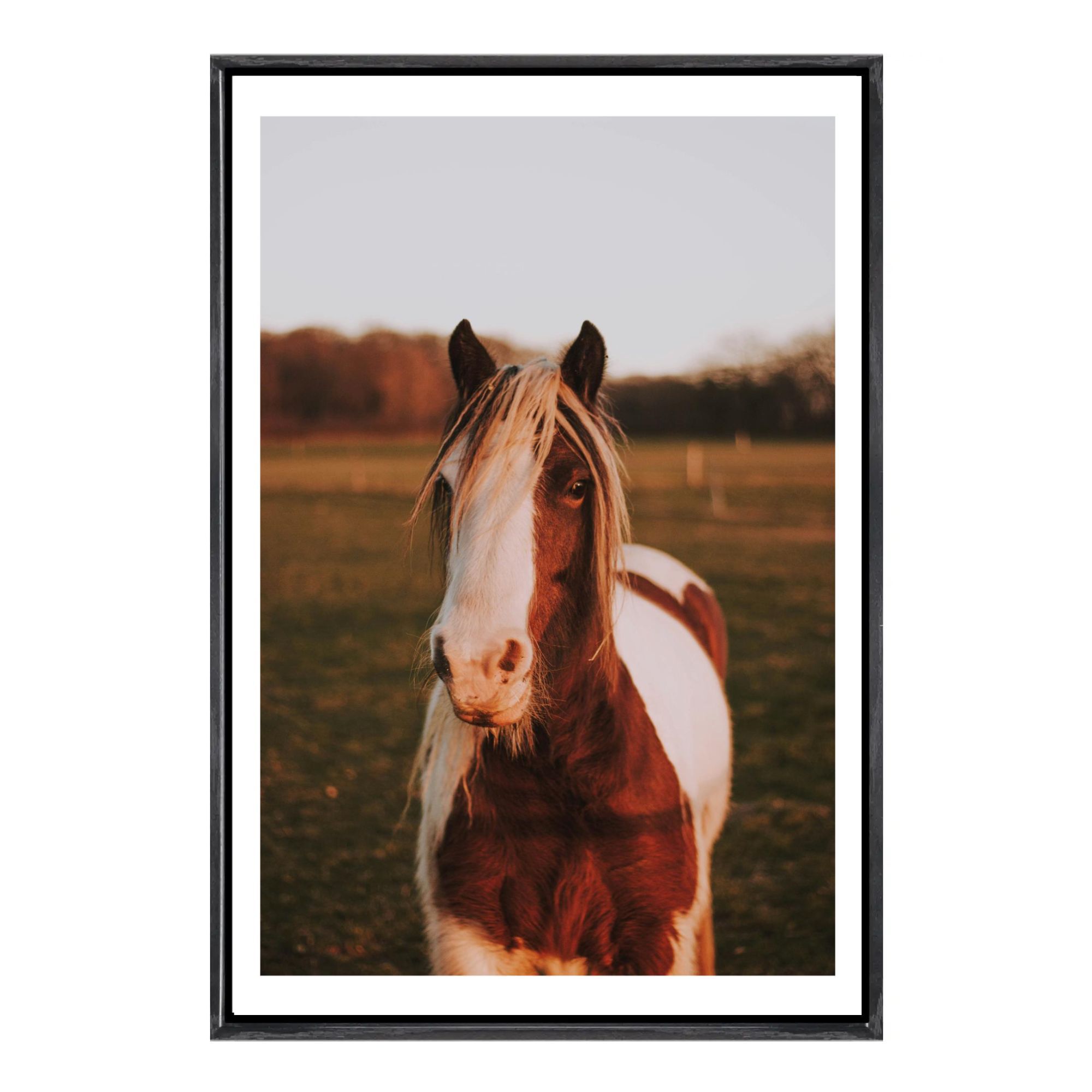 Cowboy Horse Canvas Framed Wal - Home Decor Mirror บทวิจารณ์และราคา