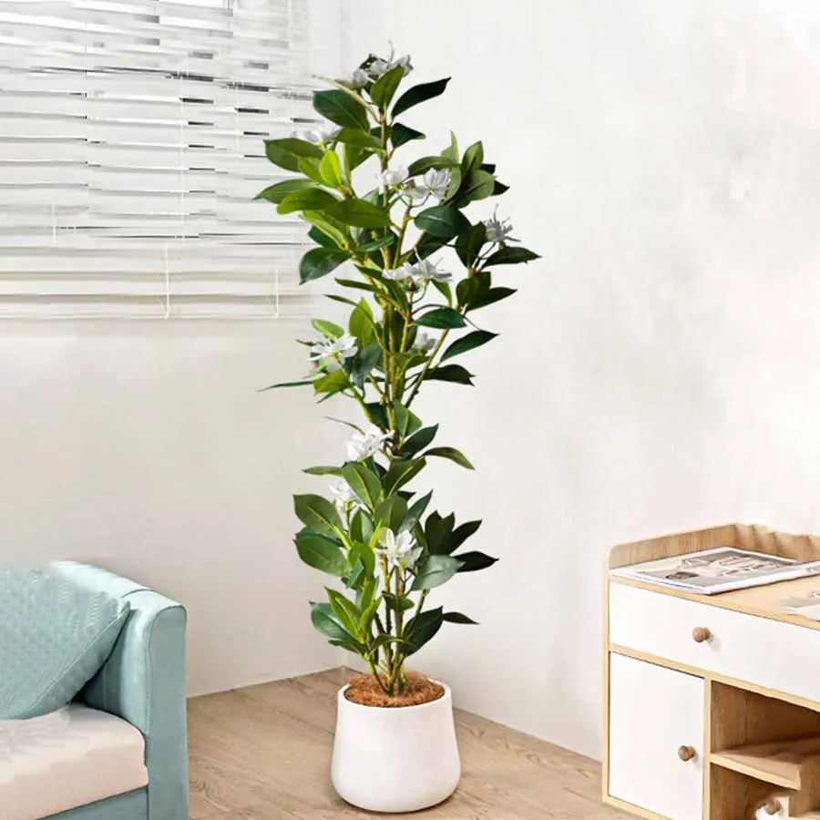 80/120cm Tropical Artificial F - Home Decor Exhibition บทวิจารณ์และราคา